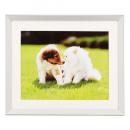 フジカラー アルミ額縁 A10N 6切 (シルバー)