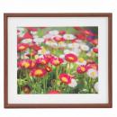 フジカラー 木製額 M21 4切