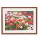 フジカラー 木製額 M21 ワイド4切