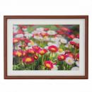 フジカラー 木製額 M21 A4