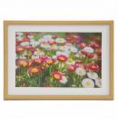 フジカラー 木製額 M20 ワイド6切