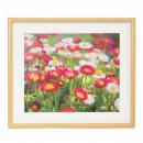 フジカラー 木製額 M20 4切