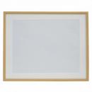 フジカラー 木製額 M20 半切