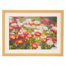 フジカラー 木製額 M20 A4