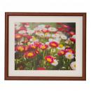 フジカラー 木製額 M21 6切