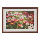 フジカラー 木製額 M21 ワイド6切