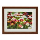 フジカラー 木製額 M21 キャビネ(2L)