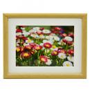 フジカラー 木製額 M20 キャビネ(2L)