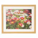 フジカラー 木製額 M20 6切